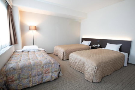 Hotel Aisul Matsuyama, Matsuyama, Japan