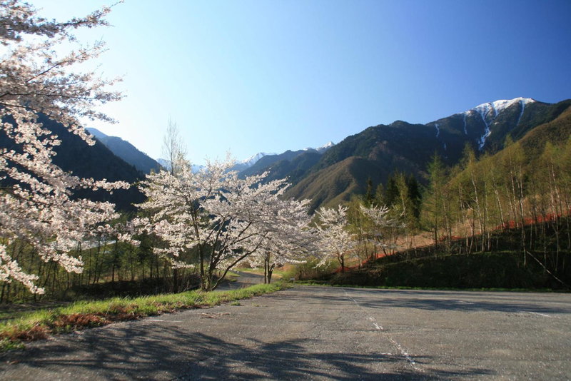 A Small Nature Hotel Hilltop 高原の小さなホテル ヒルトップ, Kiso, Japan