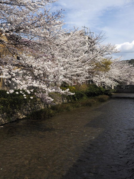 Jeugiya, Kyoto, Japan