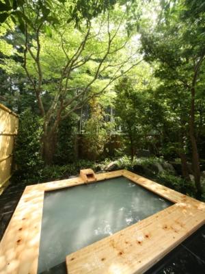 Ryoutei Ryokan Takechiyo Kirishima Bettei, Kirishima, Japan