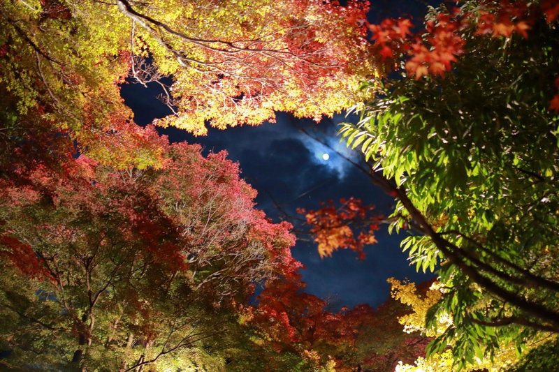 Cottage Pastorale, Fujikawaguchiko, Japan