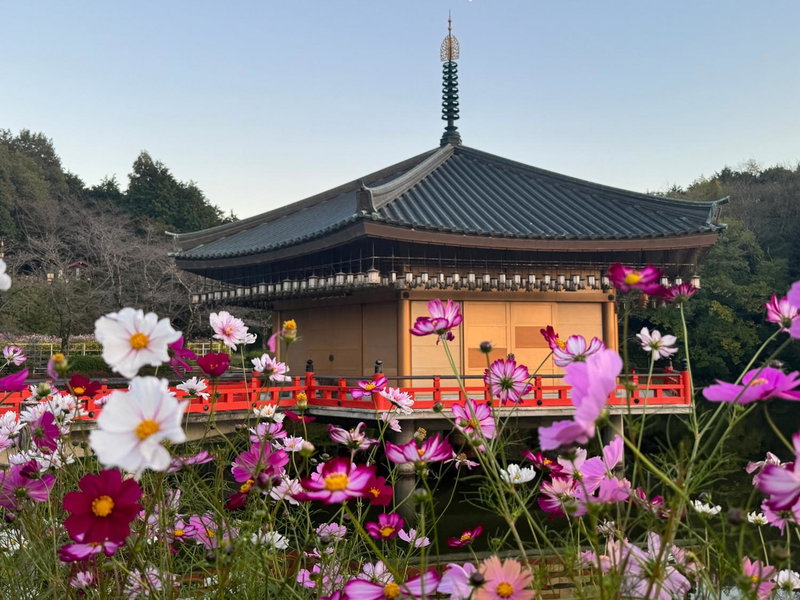 Grand Mercure Nara Kashihara, Kashihara, Japan