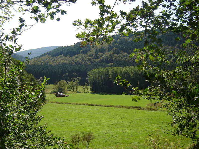 Hotel Winterberg Resort, Winterberg, Germany