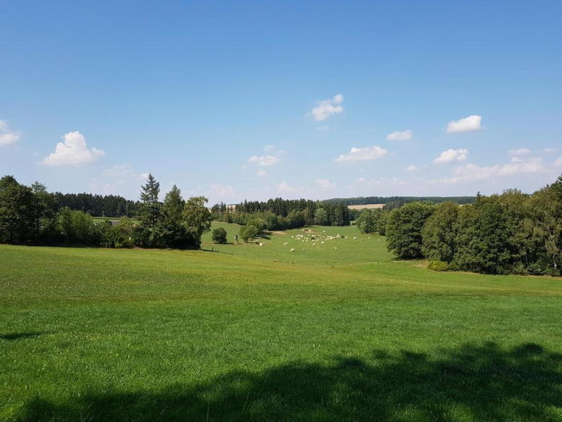 Landgasthof Grüner Baum, Regnitzlosau, Germany