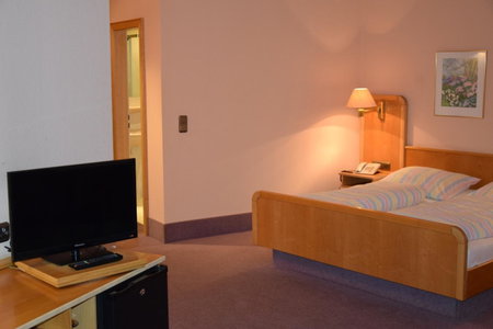 Hotel Grüner Baum, Naila, Germany
