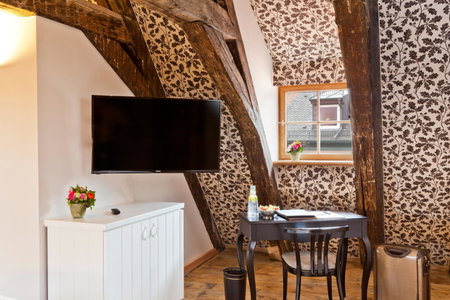 Hotel David an der Donau, Regensburg, Germany