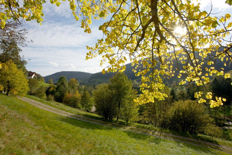 Hotel Traube Tonbach, Baiersbronn, Germany