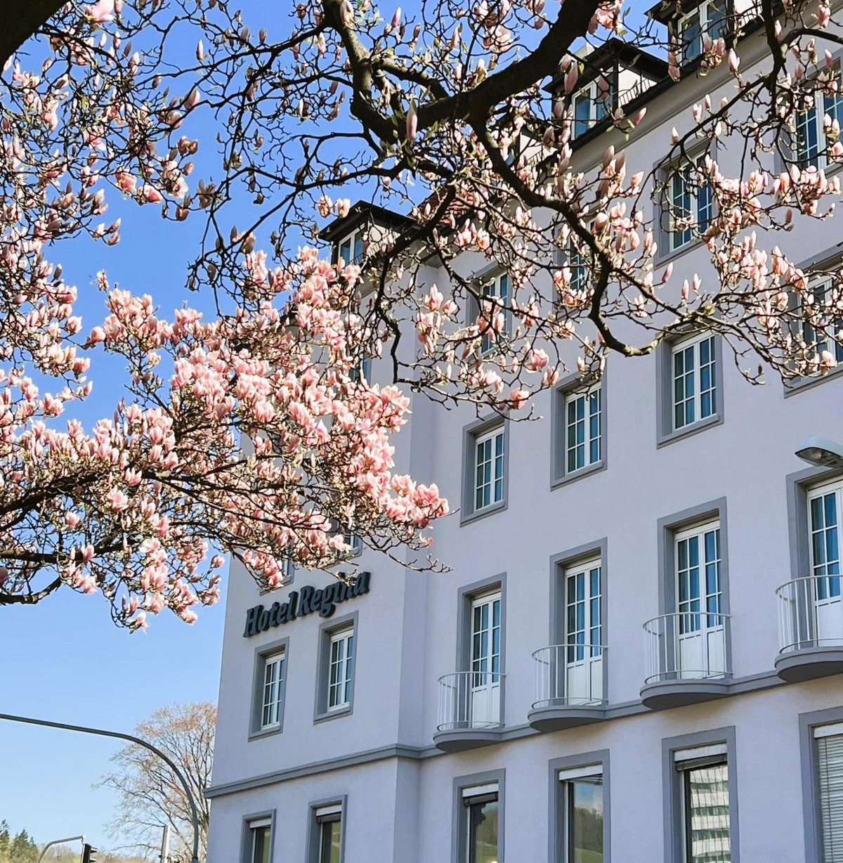 Hotel · Hotel Regina, Würzburg