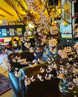 Hotel Anker, Kamp-Bornhofen, Germany