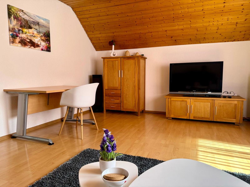 Business-Apartment Braun, Abstatt, Germany