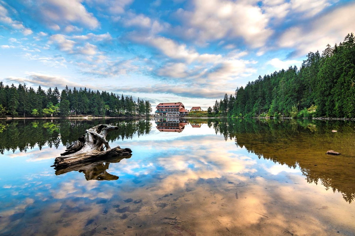 Hotel · Berghotel Mummelsee, Seebach