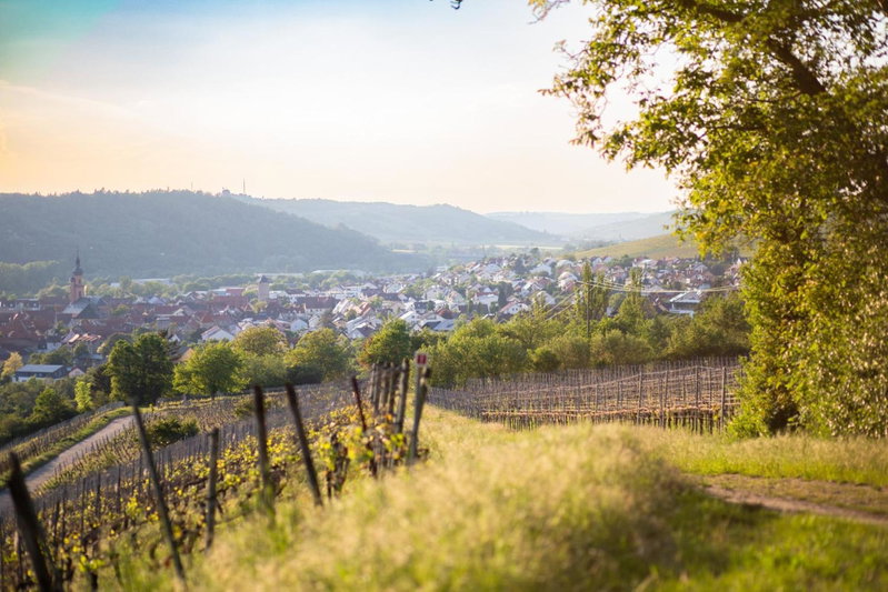 Weingut Leininger Ferienwohnungen, Eibelstadt, Germany