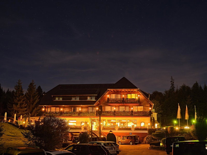 Hotel Restaurant Waldsägmühle, Pfalzgrafenweiler, Germany