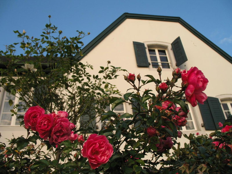 Rhein River Guesthouse - direkt am Rhein, Leverkusen, Germany