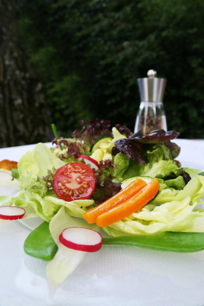 Hotel & Restaurant Dornweiler Hof, Illertissen, Germany