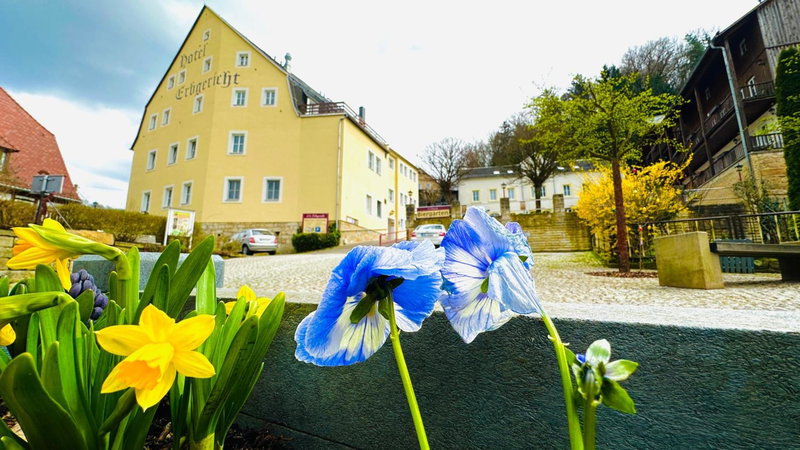 Hotel Erbgericht, Bad Schandau, Germany
