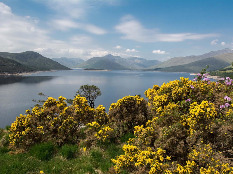 Lann Dearg Studios, Invermoriston, United Kingdom