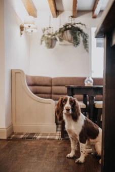The Woodman Inn, Huddersfield, United Kingdom
