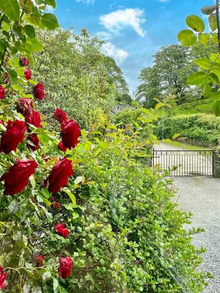 Crow How Country Guest House, Ambleside, United Kingdom