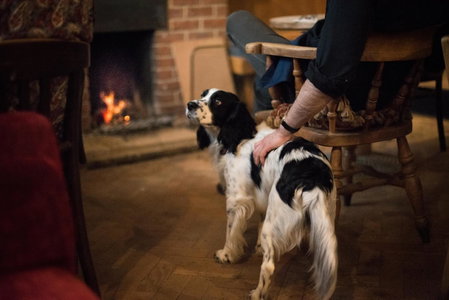 Helen Browning's Royal Oak, Swindon, United Kingdom