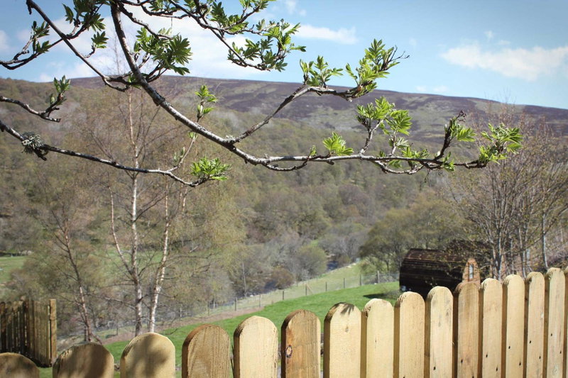 Howe of Torbeg, Ballater, United Kingdom