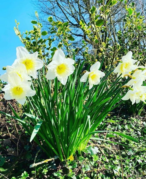 Lovesgrove Country Guest House, Pembroke Dock, United Kingdom