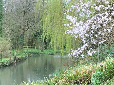 Little Norton Mill, Chiselborough, United Kingdom