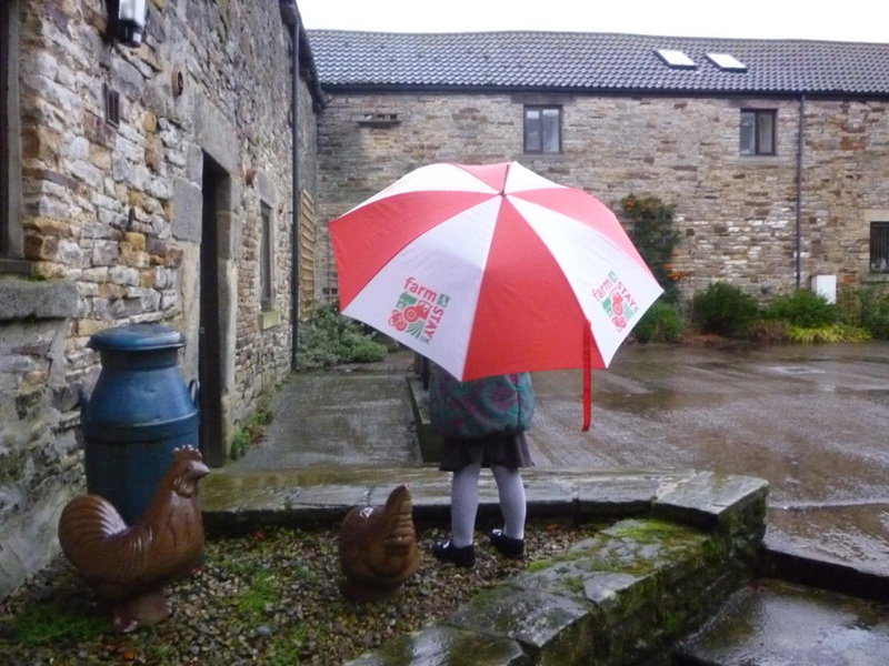Rye Hill Farm, Hexham, United Kingdom
