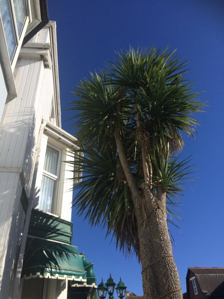 The Haldon Guest House, Paignton, United Kingdom
