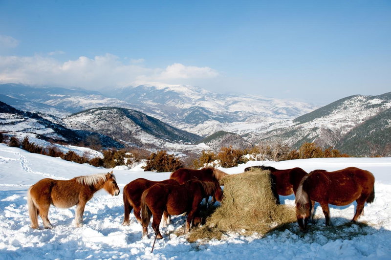 Hotel Esquirol, Llivia, Spain