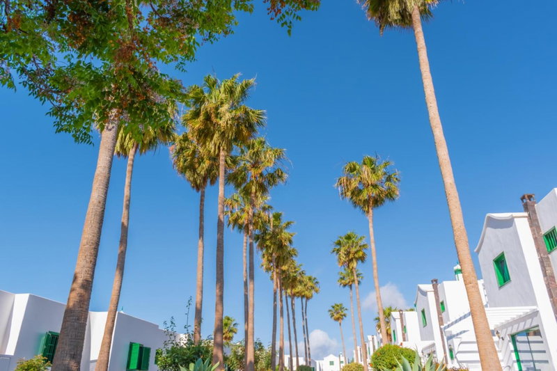 Hyde Park Lane, Puerto del Carmen, Spain