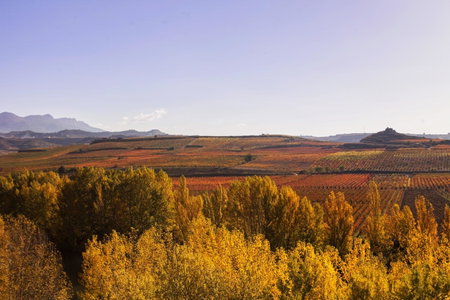 Wine & Soul Suites, Haro, Spain