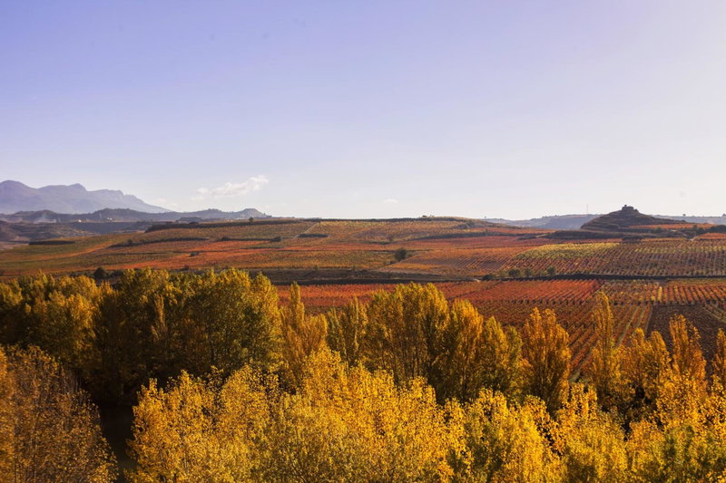 Wine & Soul Suites, Haro, Spain