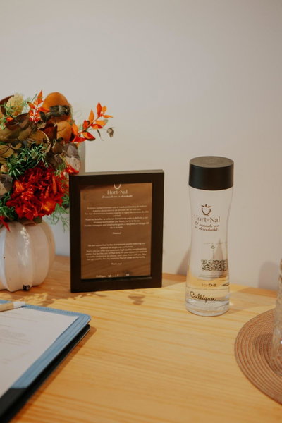 Hotel Boutique Hort de Nal, Elche, Spain