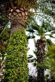 Hotel Bersoca, Benicàssim, Spain