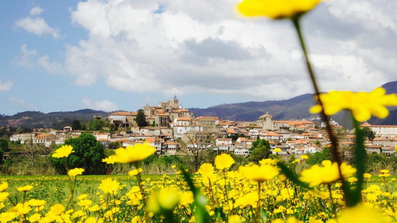 Ideas Peregrinas, Tui, Spain