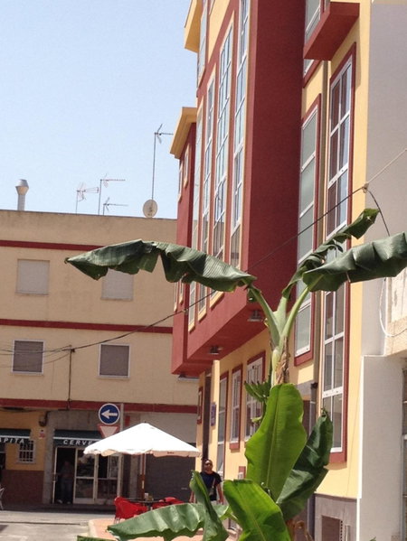 Pension La Puntica, Lo Pagán, Spain