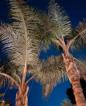 Luxury B&B Villa Tauro, Mijas Costa, Spain