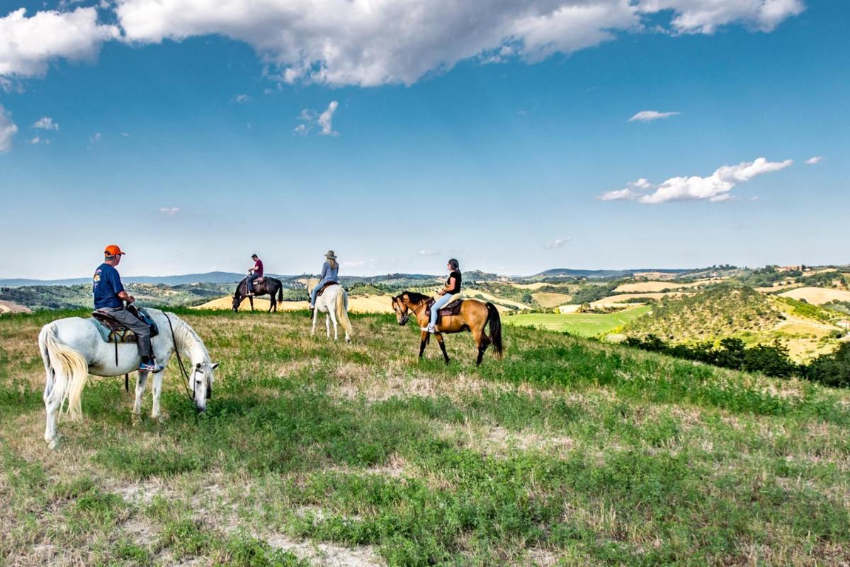 Hotel · Agriturismo Pieve Sprenna, Buonconvento