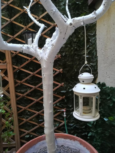 Relais Palazzo Taverna, Rome, Italy