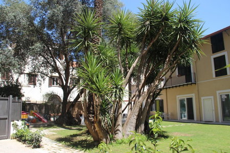 Corte del Merlo, Palermo, Italy