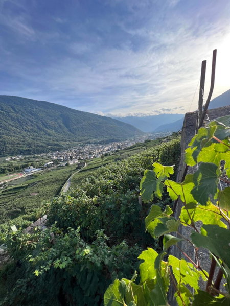 Sanmartino Suite, Tirano, Italy