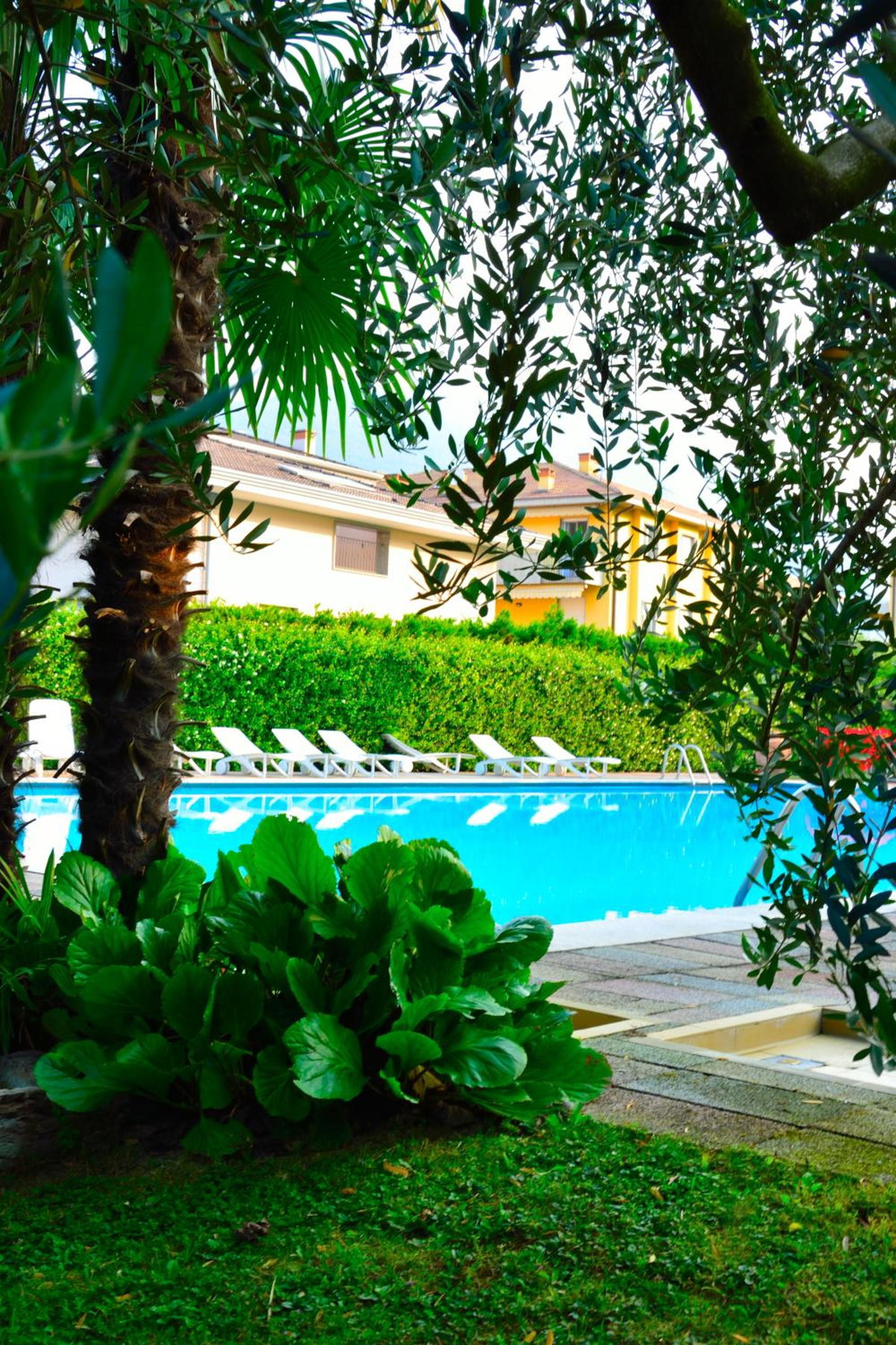 Hotel · Hotel San Giorgio, Arco