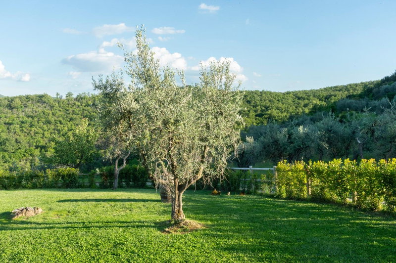 La Rimbecca Greve in Chianti, Greve in Chianti, Italy