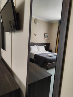Hotel Romano, Turin, Italy