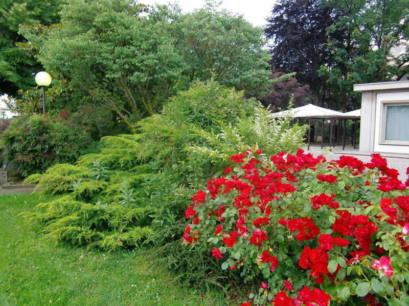 Best Western Park Hotel Continental, San Donà di Piave, Italy