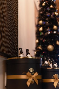 Le Boutique Luxury Rooms diffused in historical center, Fiumicino, Italy
