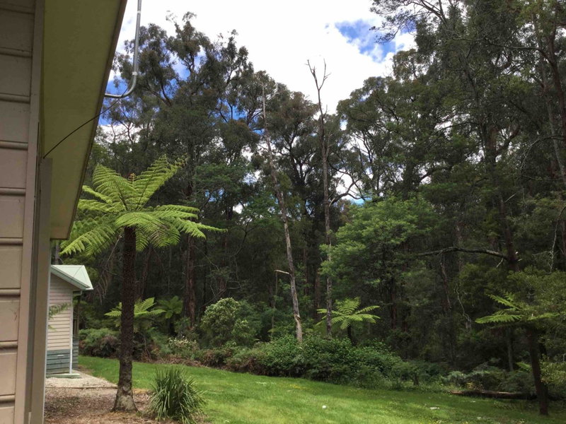 Emerald Creek Cottages, Emerald, Australia