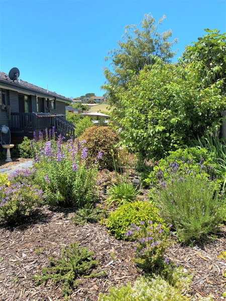 The Cosy Bungalow, Portarlington, Australia