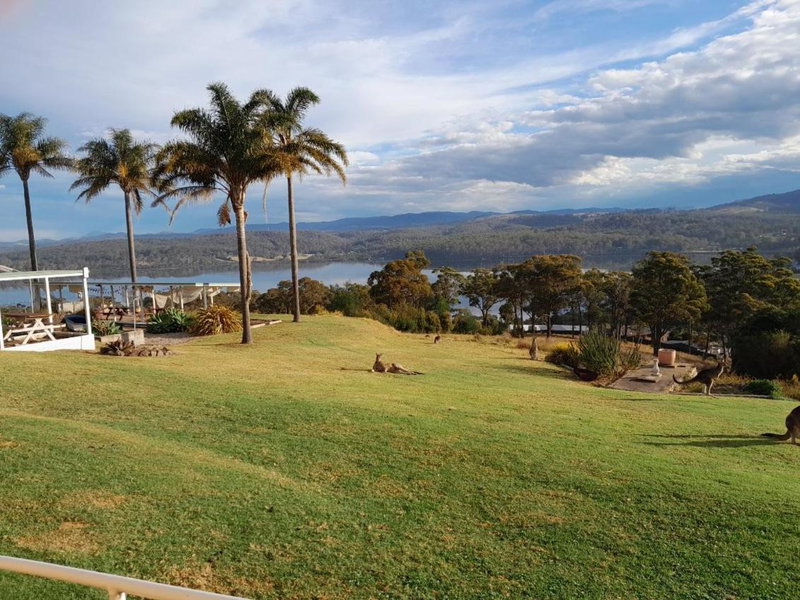 Norfolk Pines Motel, Merimbula, Australia